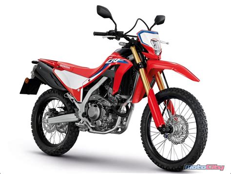 重車檔案 Honda2021 Crf 300 L Rally