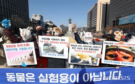 비윤리적 동물실험 중단 촉구 기자회견 네이트 뉴스