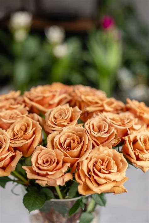 Caramel Color, Tofi Roses in a Glass Vase. Beautiful Rose Flower for Catalog or Online Store ...