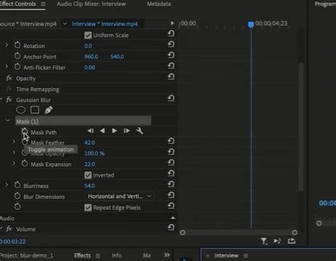 How To Blur Backgrounds In Adobe Premiere Pro Detailed Instructions