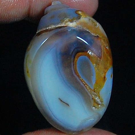 Natural Rare Fossil Snail Druzy Agate Fancy Loose Gemstone Etsy Hong Kong