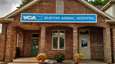 Veterinarians In Burton Oh Vca Burton Animal Hospital