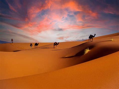 Morocco Sahara Tours: The Ultimate Experience in Morocco – Morocco Desert Adventures