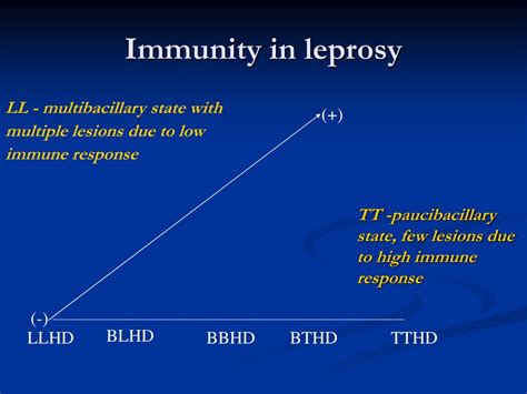 Ppt Leprosy Powerpoint Presentation Free Download Id9633485