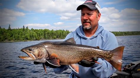 Brook Trout Nipigon River Ontario Adventure Youtube