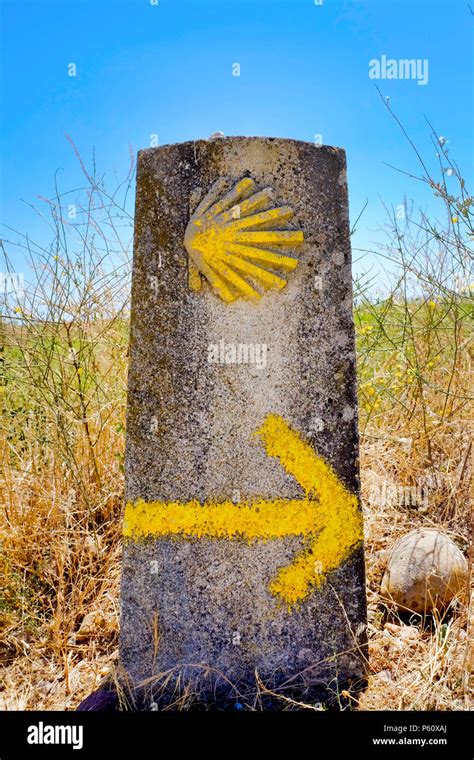 Camino De Santiago Way Marker Spain Stock Photo Alamy