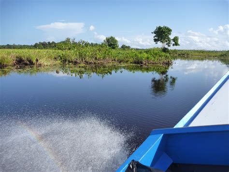 Shell Beach - Traveling Guyana - Independent Info