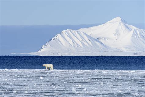 Life In Svalbard Aboard The Mv Stockholm Christopher Michel Flickr