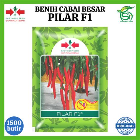 Benih Cabai Besar Pilar F Biji Bibit Cabe Cap Panah Merah