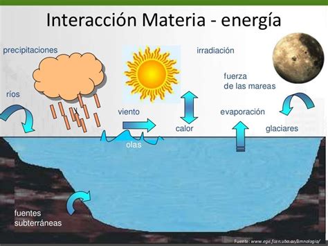 Biofisica Materia Y Energía