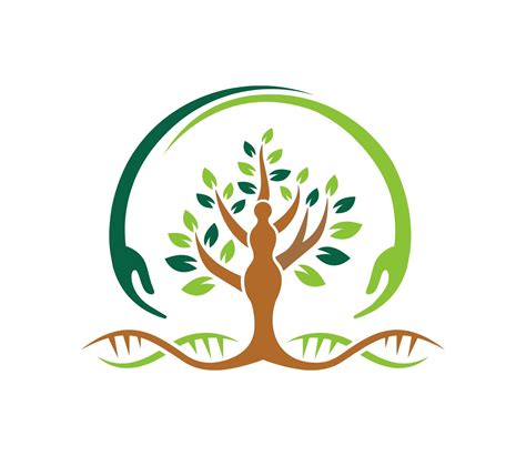 Five Branch Massage & Wellness | Gainesville FL
