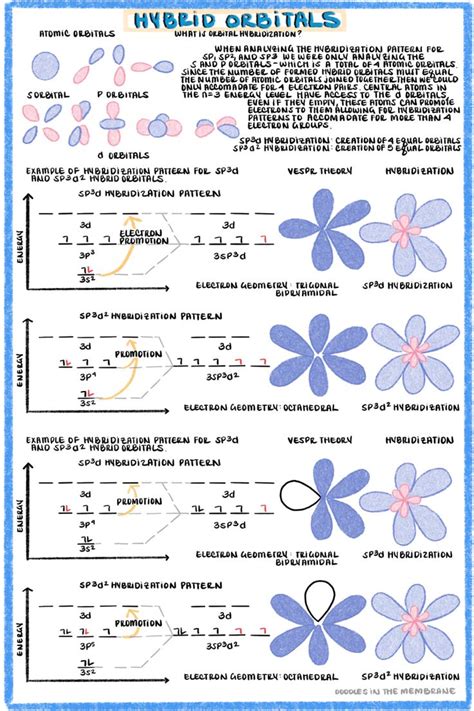 Orbital Hybridization - Complex Hybrid Hybridization Patters with d ...