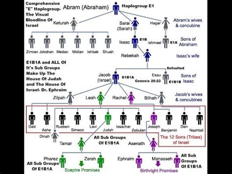 Genetics: Y-DNA Haplotype of E1B1A - YouTube