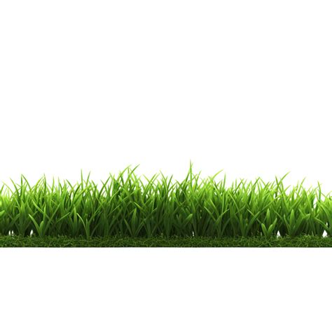 Ai Generated Green Grass Field Clip Art 40218712 Png