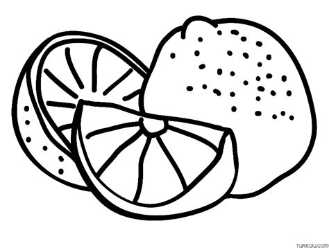 Yellow Lemon Coloring Page Turkau