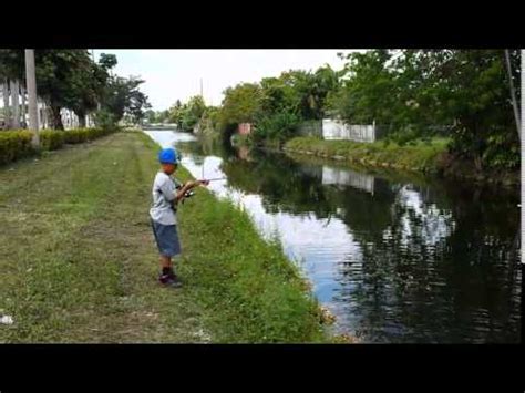 Canal Fishing In Miami FL YouTube