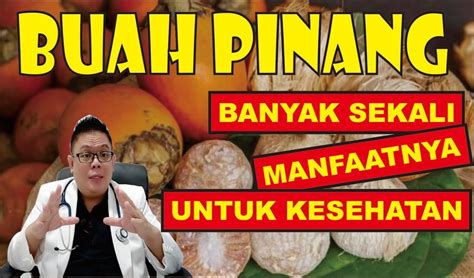 Ini Dia 6 Manfaat Buah Pinang Muda Untuk Kesehatan Tubuh Yang Wajib