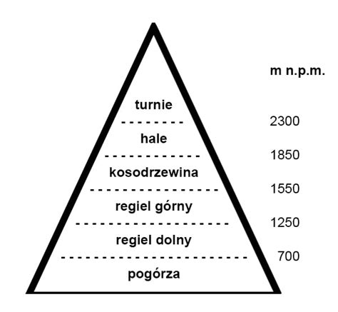 Ostry Trojkat Na Wyprawie Telegraph