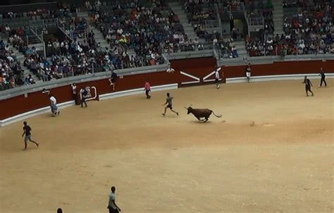 Adiós a las vaquillas en La Blanca Disport Eki renuncia