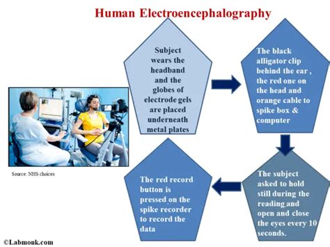 Human electroencephalography - Labmonk