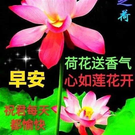 6月6日最新芒种早上好祝福动态表情图片大全，芒种问候语句子！ 阳光 清风 朋友