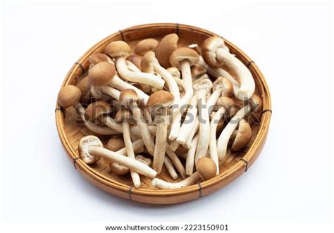 Yanagi Matsutake Mushroom On White Background Stock Photo 2223150901