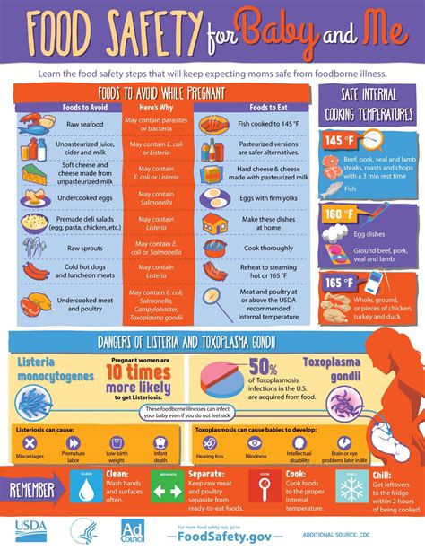 Food Safety In Pregnancy Christina Mcgeough Mph Rd Cde Digital