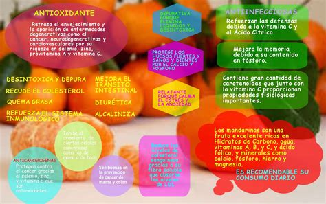 Cuaderno De Salud Y Dietética Mandarina