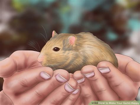 How To Make Your Gerbil Happy 12 Steps With Pictures Wikihow