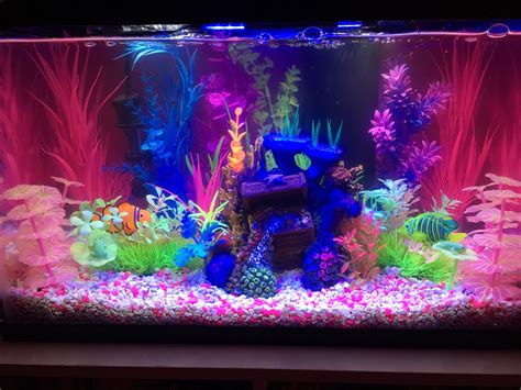 One Piece Anime Fish Tank Decorations at Dorothy Holcomb blog