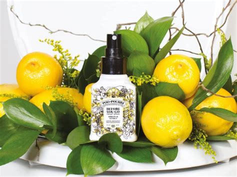 Poo Pourri Before You Go Toilet Spray: $5 to Use in Public Bathrooms ...