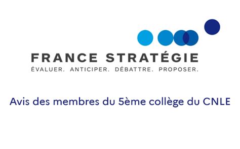 Avis du 5e collège du CNLE dans le rapport 2021 de France Stratégie