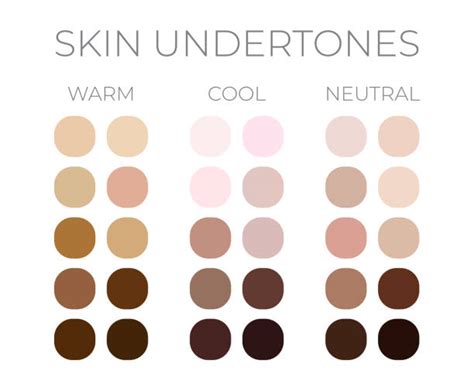 Skin Tones Color Palette Swatches Procreate Skin Tone Chart Colours For Drawing Skin Digital