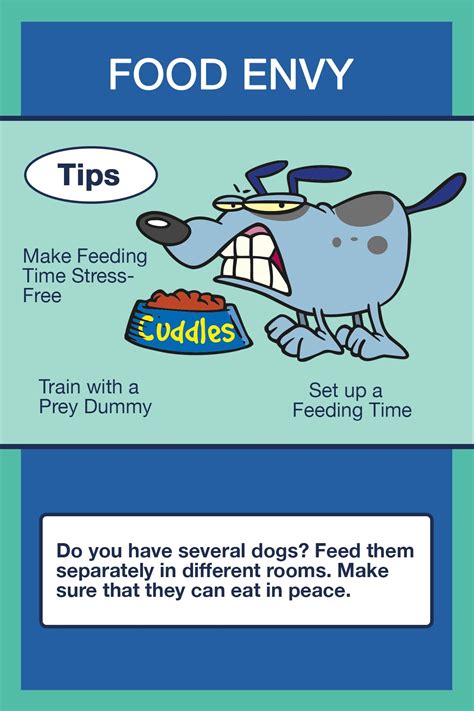 The Canine Diner: A Guide To Peaceful Mealtimes At Home