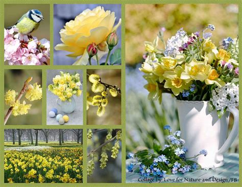 Spring Beautiful Collage Beautiful Flowers Beautiful Pictures