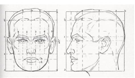 O Desenho Da Cabe A Humana Audaces