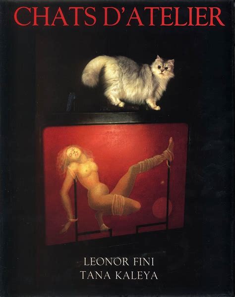 Chats D Atelier Les Chats De Leonor Fini Fini Leonor Amazon de Bücher