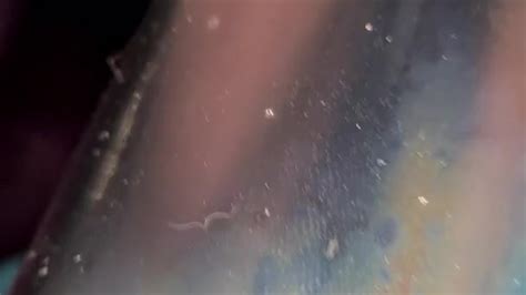 Pissing In A Penis Pump Free Sex Video RedTube