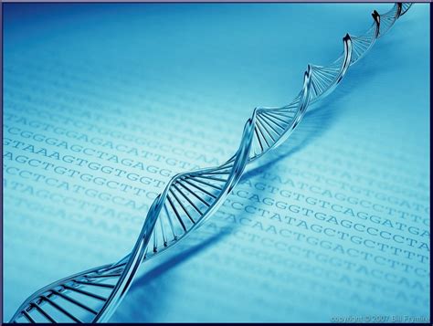 O Dna Pode Ser Reprogramado Por Palavras E Frequ Ncias Espa O