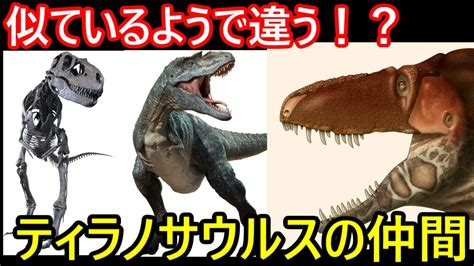 あなたは違いを知ってる！？ティラノサウルスの仲間3選！！【ゆっくり解説】【ゆっくり達の恐竜解説＋】ゴルゴサウルスダスプレトサウルスアルバート