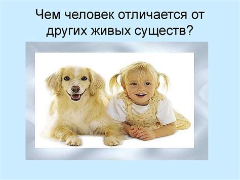 Человек. Загадка человека - презентация онлайн
