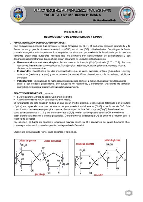 Práctica N 05 REC Carbohidratos Y Lípidos 1 Práctica N 0 5