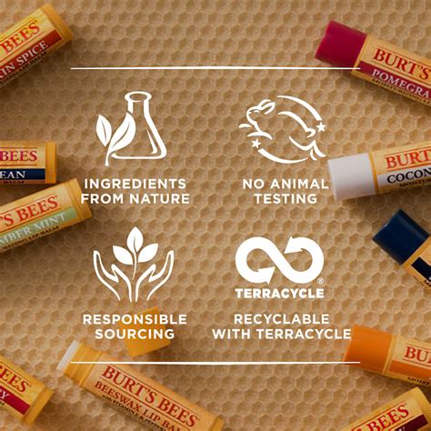 Burt S Bees Lip Balm Beeswax Lippenbalsem Make Up Musthaves