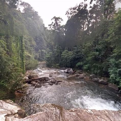 Sinharaja Forest Reserve in Embilipitiya, Sri Lanka (Google Maps)