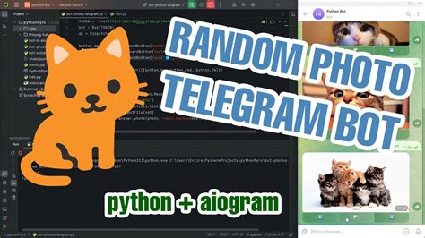 Random Images Telegram With Buttons In Python Aiogram Part