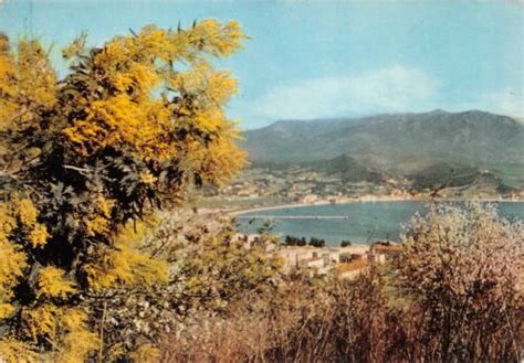 Cpm Ajaccio Vue G N Rale Sur La Ville Et Le Golf Ebay