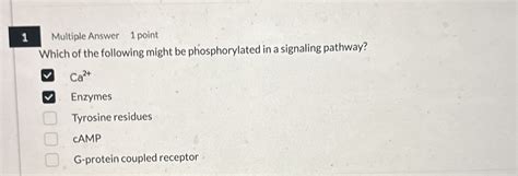 Solved Multiple Answer Pointwhich Of The Following Might Chegg