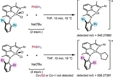 CobaltCatalysed LigandControlled Regiodivergent Alkene