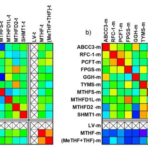 Heat Maps Showing The Correlation Between Gene Expression And Folate