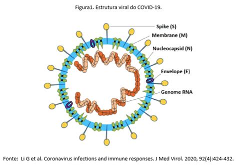 Diagn Stico Laboratorial Do Coronav Rus Sars Cov Causador Da Covid